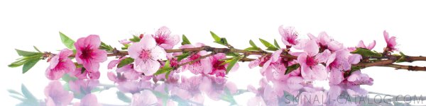 Фартук для кухни цветы на ветке