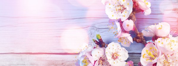 Нежный цветок