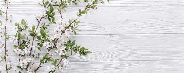 Фон Весна горизонтальный