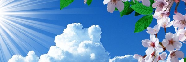 Весенняя весенняполяна