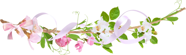 Майская веточка яблони сбоку