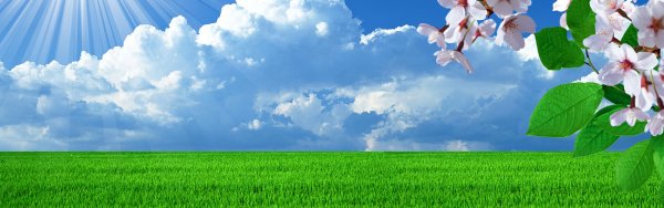 Лето панорама