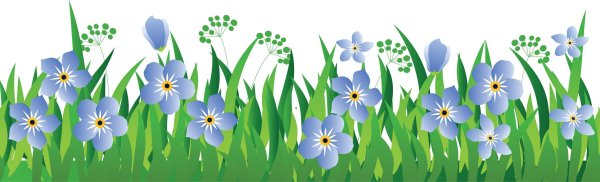 Скинали Сакура для кухни