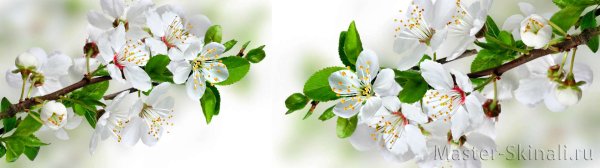 Фон для обложки группы ВК