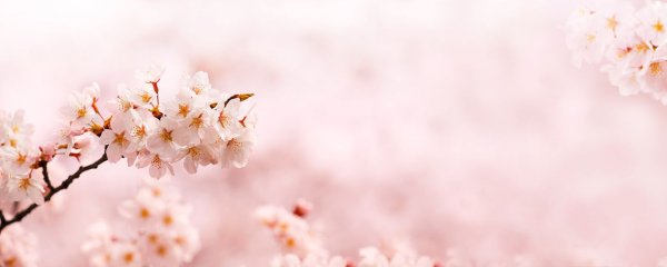 Весенний фон