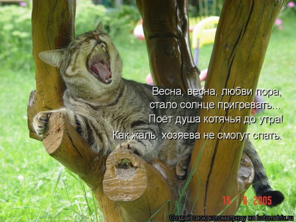 Хочется тепла и солнца