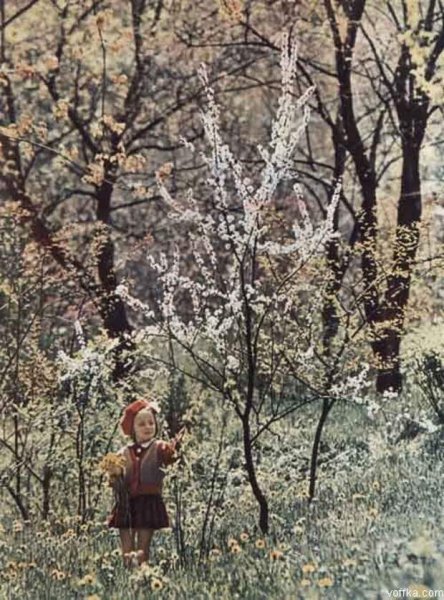 Художница Maud Humphrey Bogart