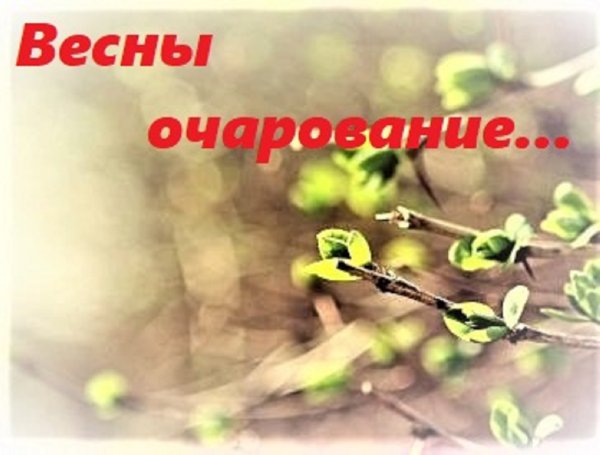 Добрые весенние пожелания