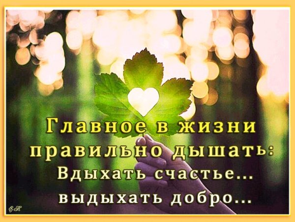 Хорошего дня и отличного настроения будьте здоровы