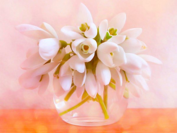 С 8 марта нежные