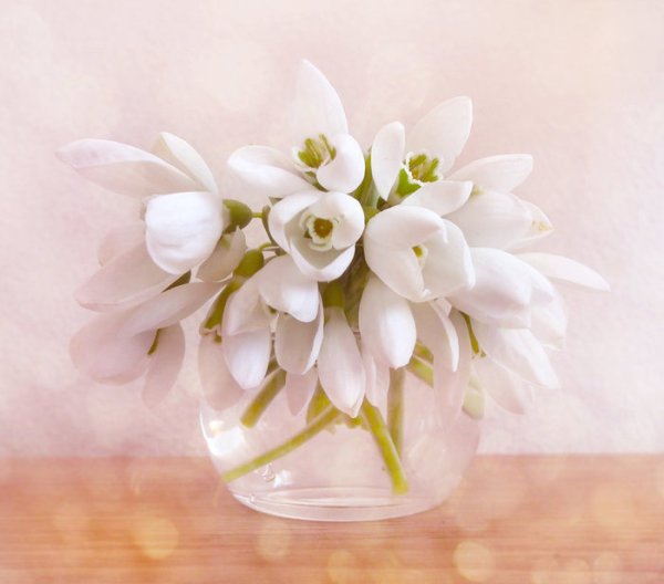 Нежные анимации с 8 марта