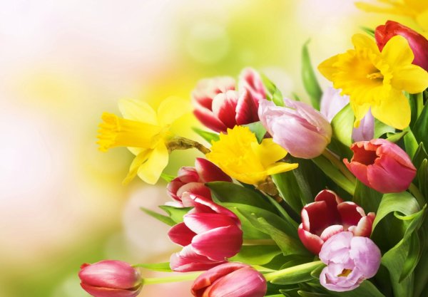 К празднику. 8 Марта