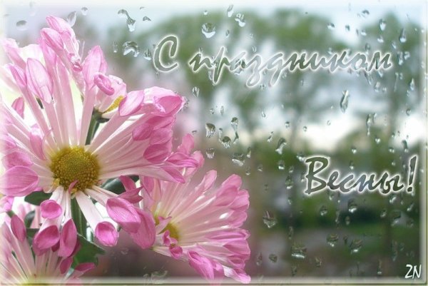 Нежные весенние цветы