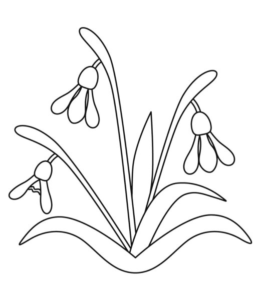 Раскраска. Весна