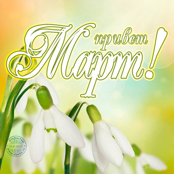 С 8 марта тюльпаны