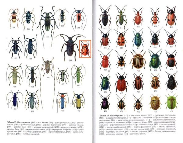 Атлас определитель Жуков 1 класс