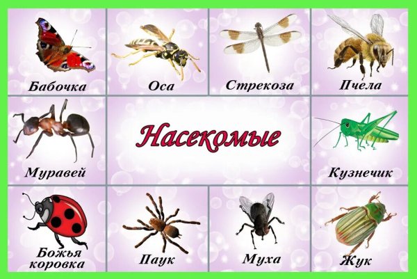 Пальчиковая игра Майский Жук