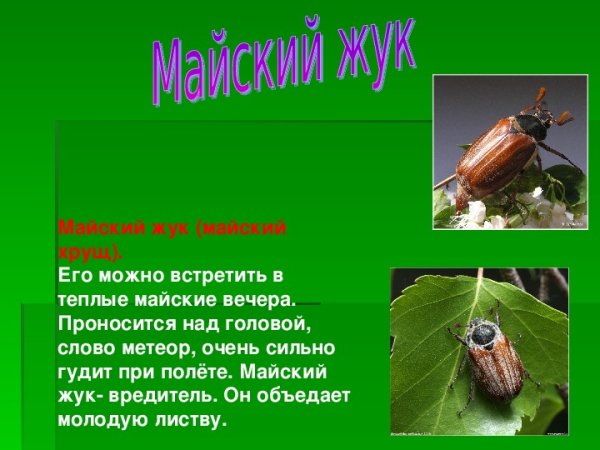 Атлас определитель Жуков 1 класс