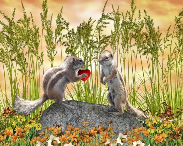 Пара голубей