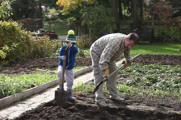 Весенние работы в огороде