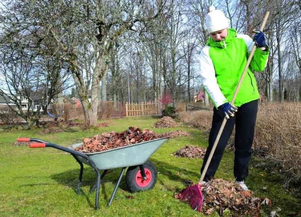 Уборка в саду весной