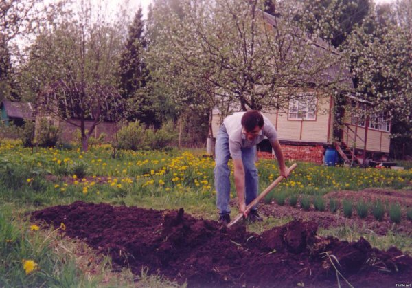 Весенние работы в огороде