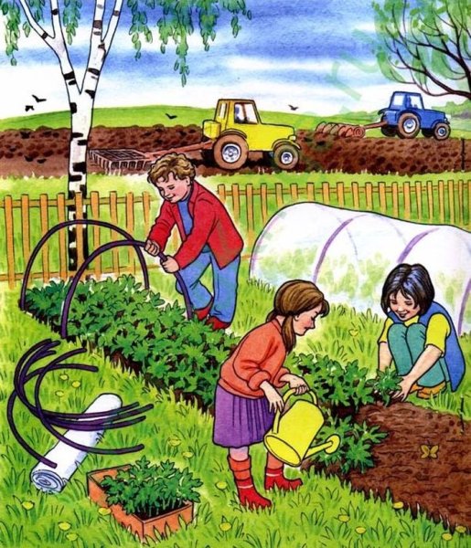 Первые весенние работы в саду и огороде, по видам и месяцам: чек-лист для дачников
