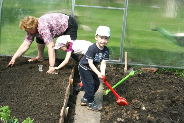 Труд в огороде