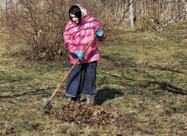 Уборка огорода весной