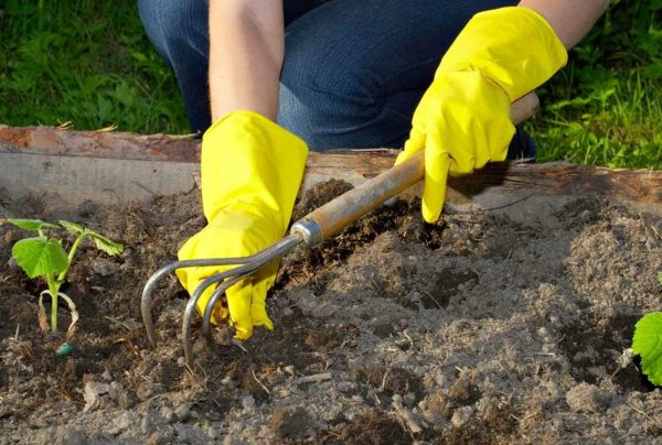 Прополка грядок огородник