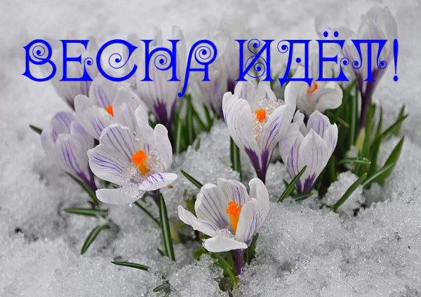 Весна идет Весна идет