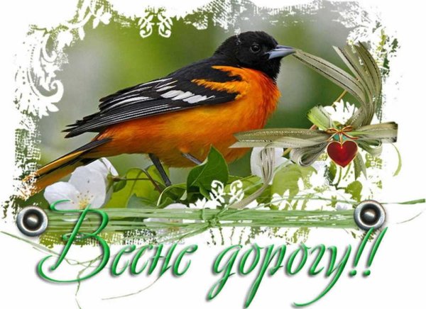 Весна идёт весне дорогу