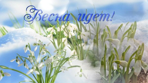 Здравствуй Весна