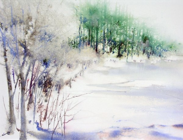 Владимир Тупоршин художник