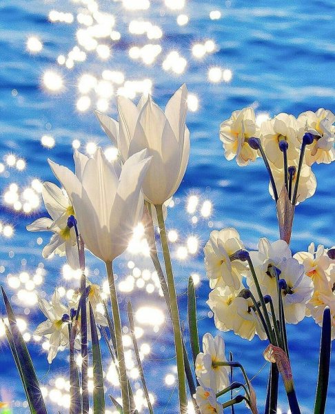 Вечное солнце