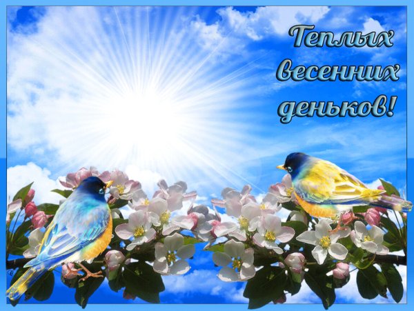 Весеннее настроение