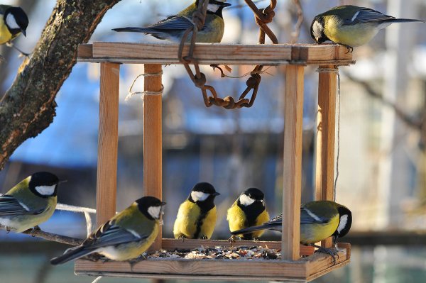 Кормушка "синичка"