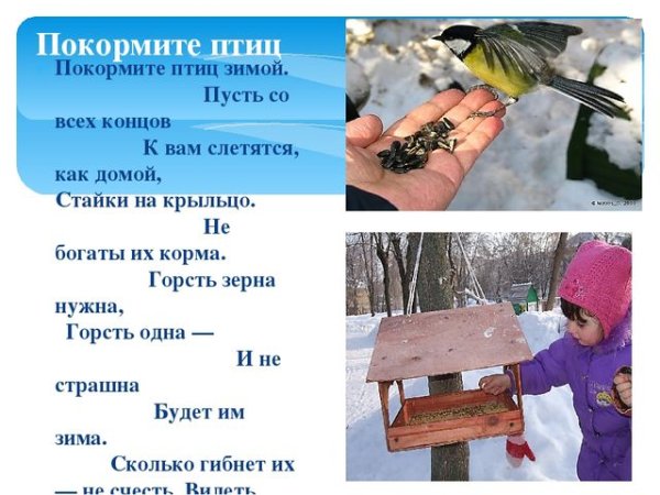 Покормите птиц зимой