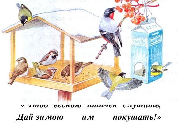 Картина с изображением зимующих птиц на кормушке