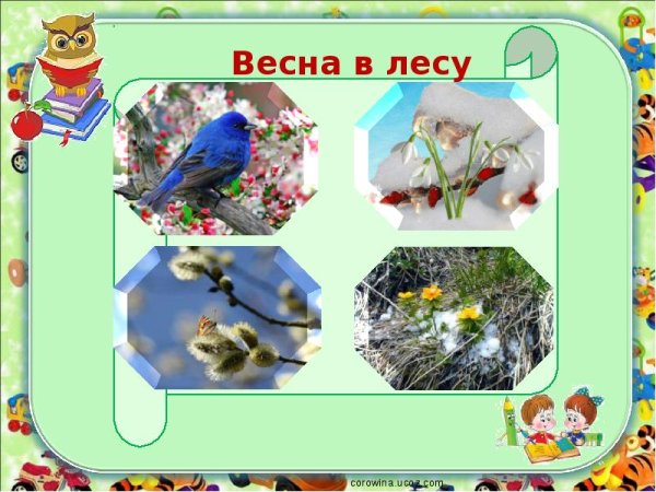 Весенний лес для детей