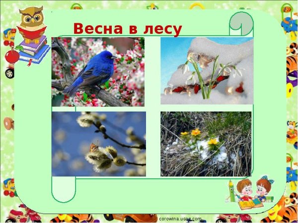 Лесные звери весной