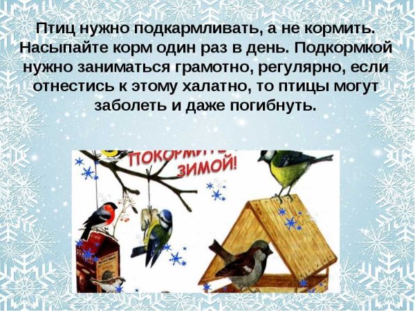 Подкармливать птиц