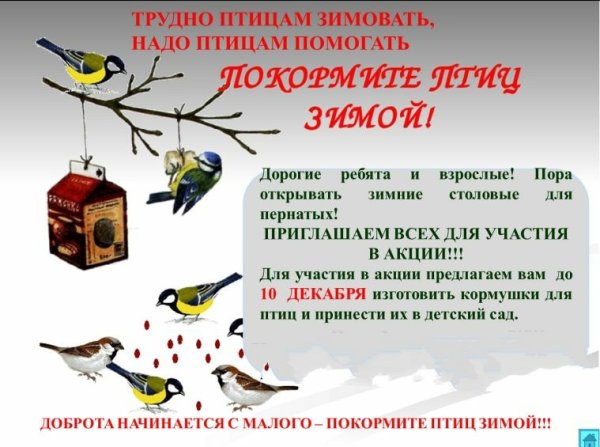 Акция Покормите птиц зимой