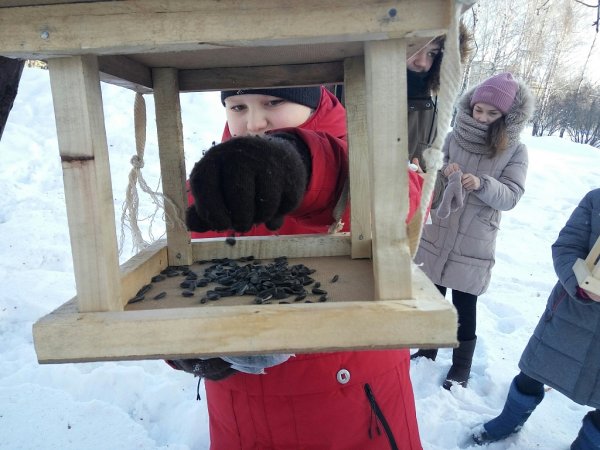 Кормушка для птиц для детей