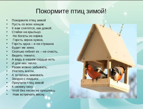 Покормите птиц зимой