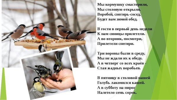 Мы кормушку смастерили стихотворение