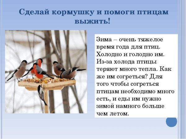 Рассказ о зимующих птицах