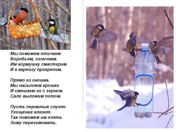 Стихи про птиц зимой в кормушке