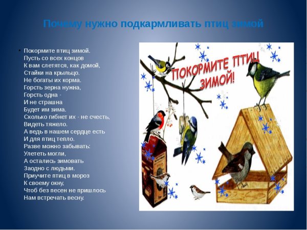 Покормите птиц зимой