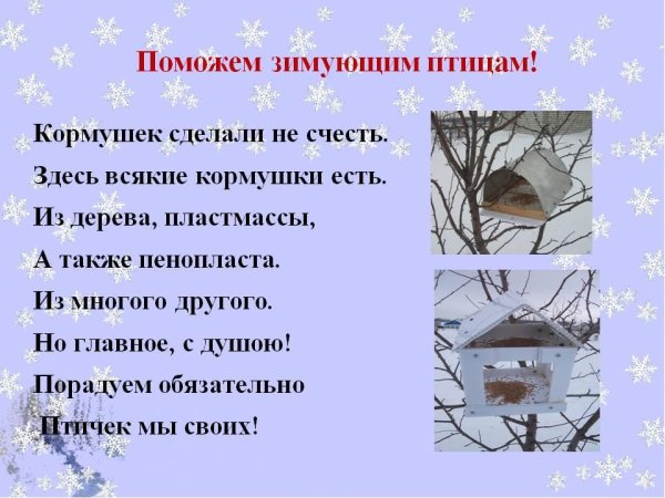 Стих про кормушку для птиц для детей короткие